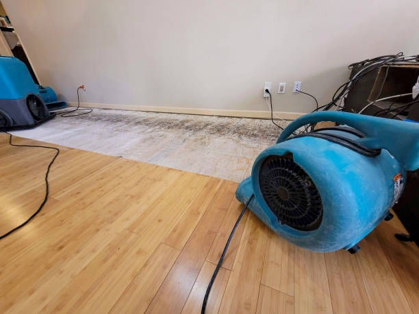 Professional Sewage Cleanup technician working in Erwin, NC